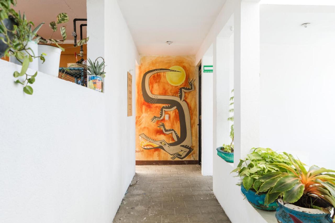 Residencia Artistica Hostel Puerto Escondido  Buitenkant foto